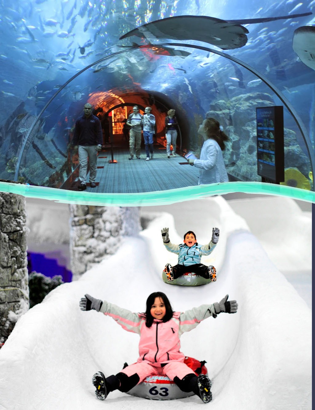 Aquarium & Snowpark Tour
