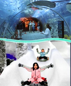 Aquarium & Snowpark Tour