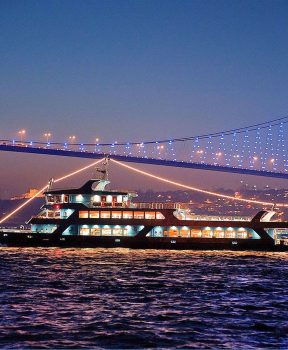 Bosphorus Dinner Cruise Tour with Turkish Show